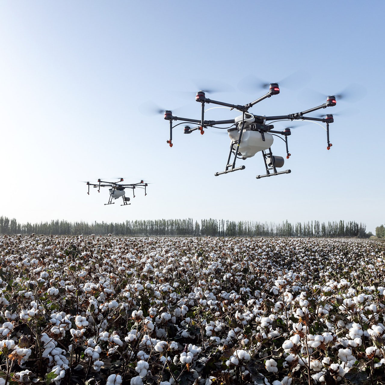 agriculture-4208863_1920